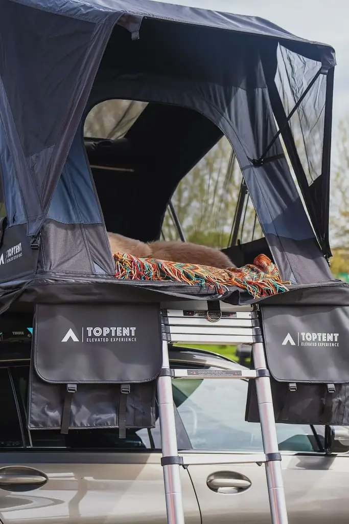 WhatsApp Image 2024-12-13 at 5.12.28 PM (8).webp