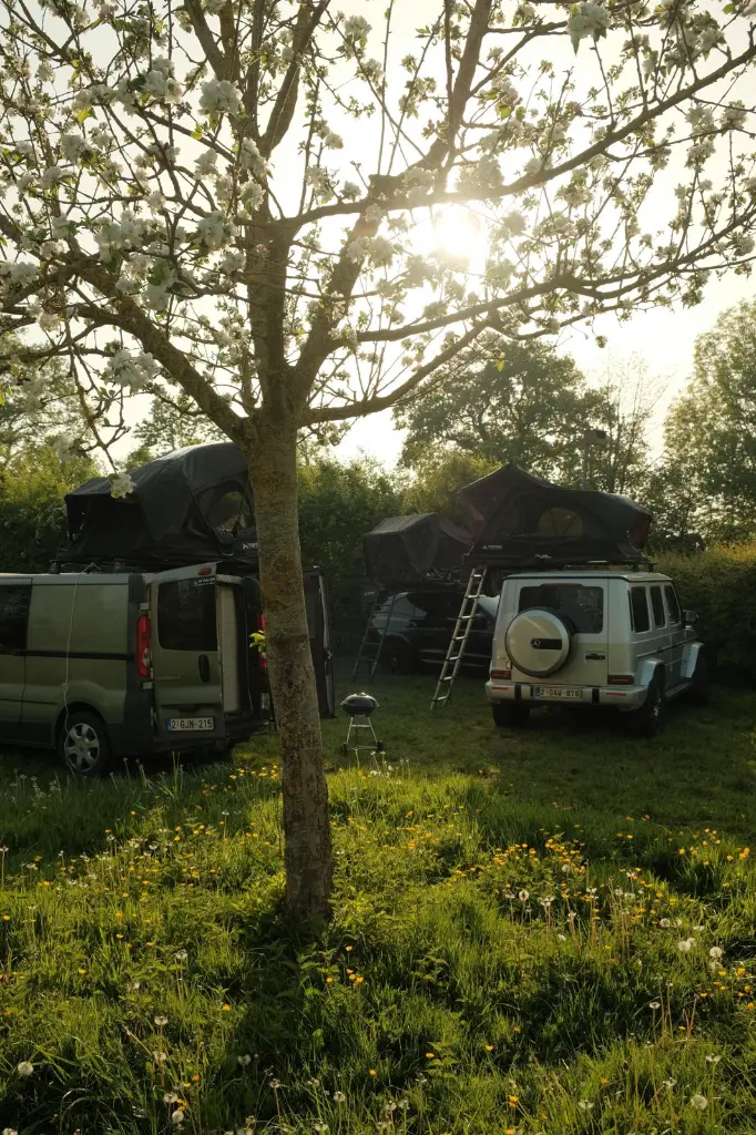 WhatsApp Image 2025-06-16 at 8.40.20 AM.webp