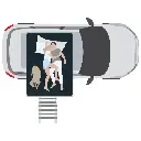 Dachzelt SMALL WILLOW 140 Gen.3 ECO Oliv - 5.webp